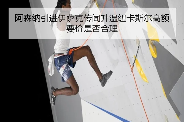 阿森纳引进伊萨克传闻升温纽卡斯尔高额要价是否合理